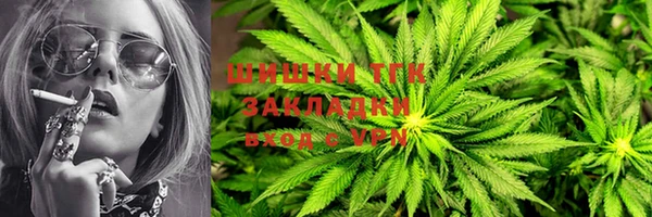 шишки Алексин