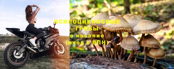 шишки Алексин