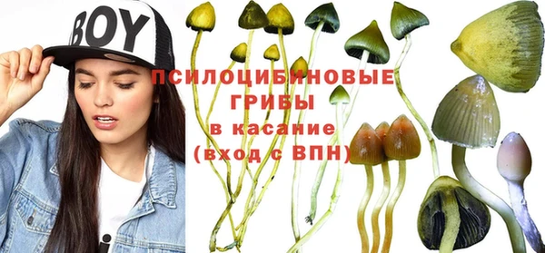 шишки Алексин