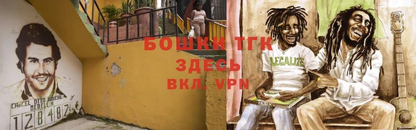 шишки Алексин
