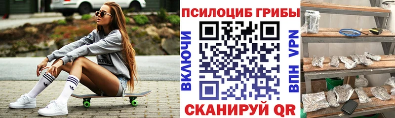 где продают наркотики Сосновоборск Галлюциногенные грибы Magic Shrooms
