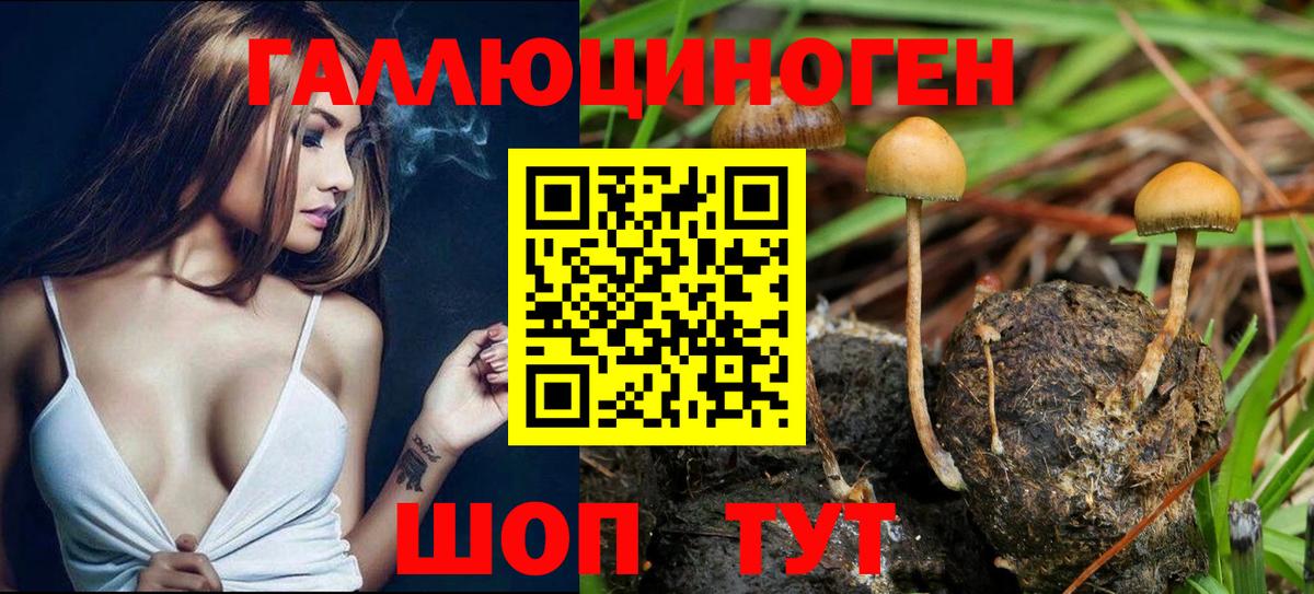 Псилоцибиновые грибы прущие грибы Сосновоборск