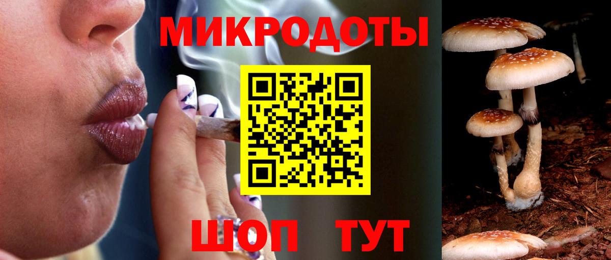 Псилоцибиновые грибы Psilocybe  Вход с VPN  Галлюциногенные грибы Psilocybine cubensis  Сосновоборск 